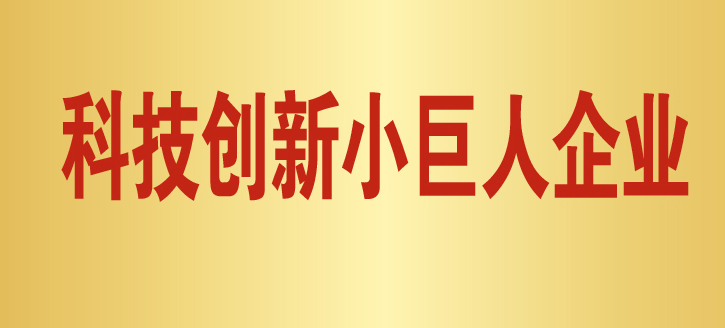 再创辉煌，澳升荣获“科技创新小巨人企业”称号